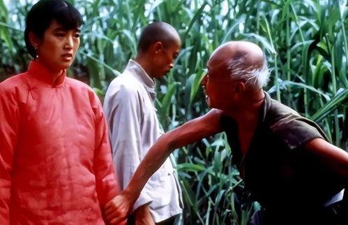 红高粱电影演员表,实力派明星齐聚演绎传奇故事