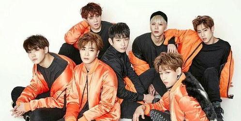 韩国娱乐交际花,揭秘璀璨背后的神秘人生