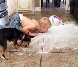 搞笑白牙图片,牙齿笑出“八颗牙”