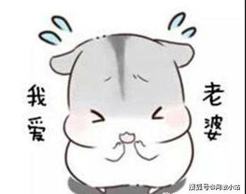 搞笑神文,那些让人捧腹大笑的神文盘点